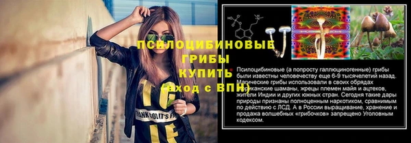 2c-b Костерёво