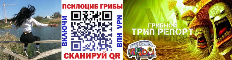 Галлюциногенные грибы GOLDEN TEACHER Купить Пикалёво